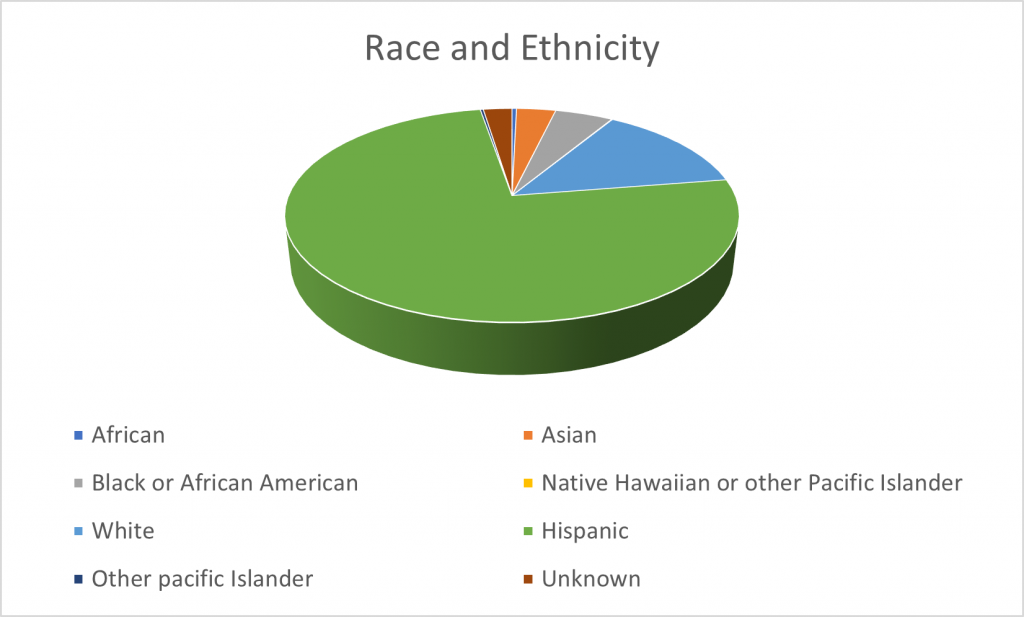 Chart of Race and Ethnicities served at Mercy Health Clinic